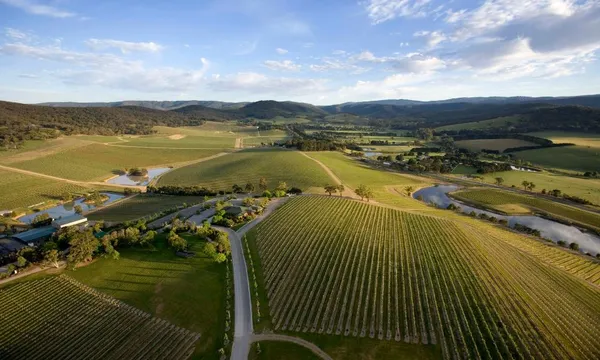 Yarra Valley Wine Blending Experience - For 2
