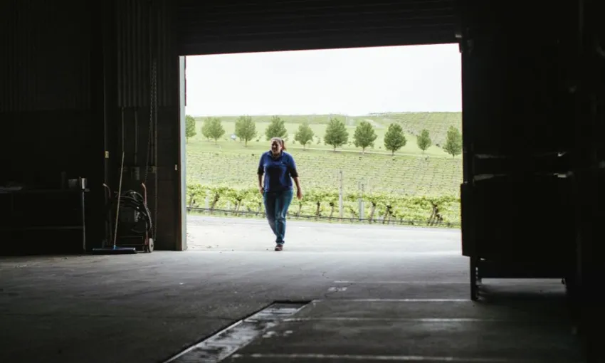 Winery Tour, Tasting & Cheese Pairing - For 2 | Experience Oz