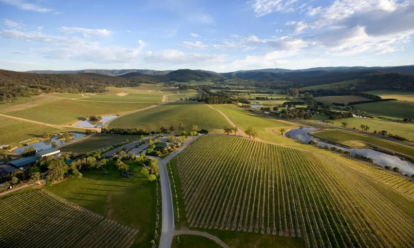 Winery Tour, Tasting & Cheese Pairing - For 2 | Experience Oz