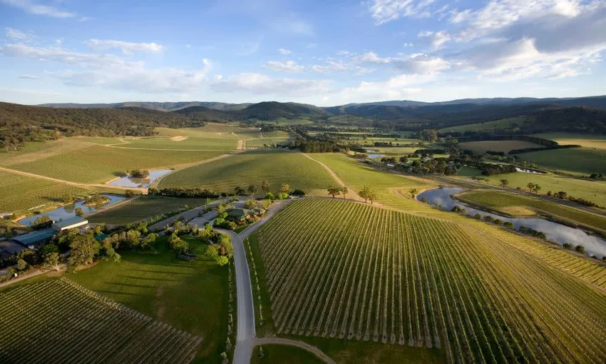 Yarra Valley Vineyard Breakfast with Wine - For 2 | Experience Oz