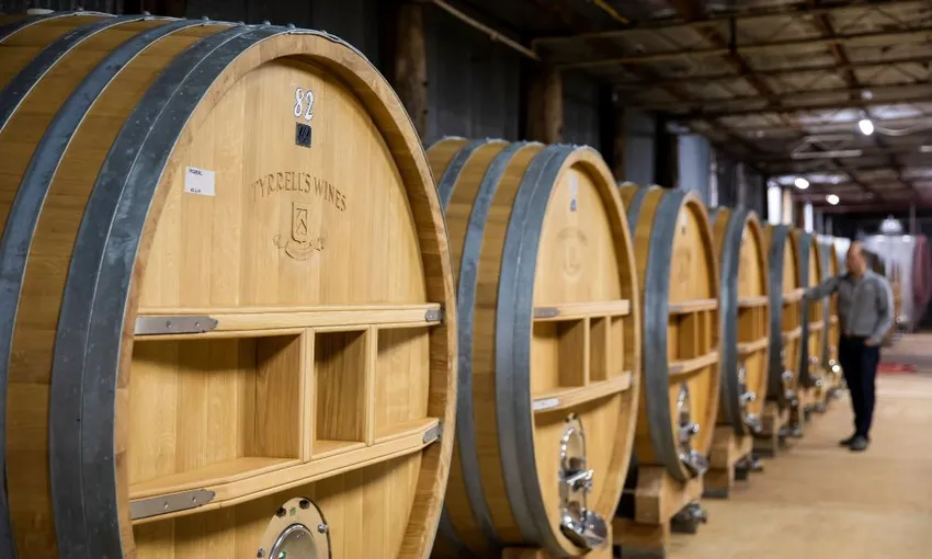 Hunter Valley Wine & Cheese Day Tour from Sydney | Experience Oz
