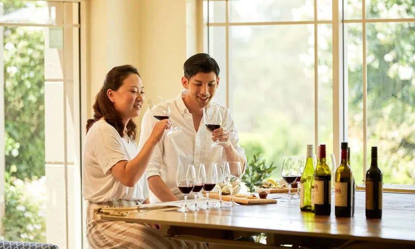 Hunter Valley Wine & Cheese Day Tour from Sydney | Experience Oz