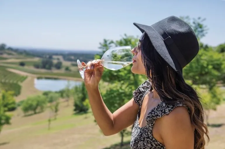 Hunter Valley Wine & Cheese Day Tour from Sydney | Experience Oz