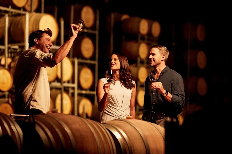 Hunter Valley Wine & Cheese Day Tour from Sydney | Experience Oz