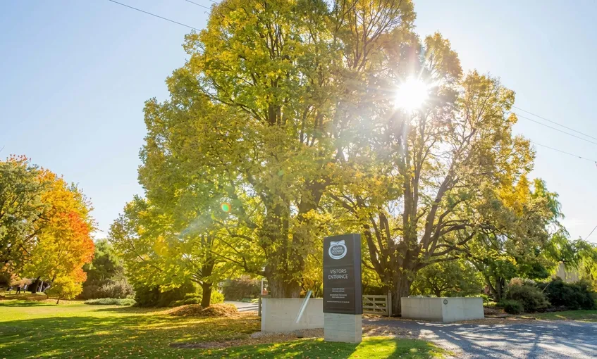 Milawa Brown Brothers Winery Tour and Lunch | Experience Oz