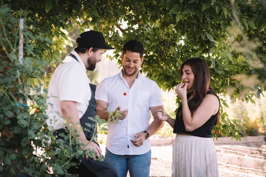 Milawa Brown Brothers Winery Tour and Tasting Lunch - For 2