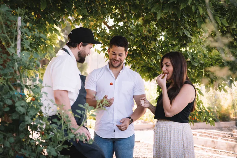 Milawa Brown Brothers Winery Tour and Lunch | Experience Oz