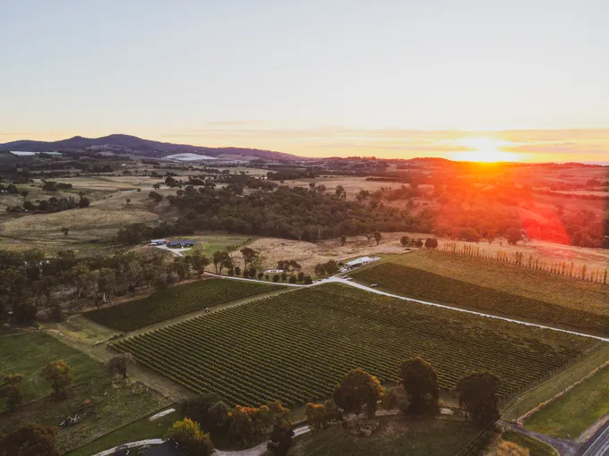 Sommelier Guided Wine & Canape Tasting - 1 Hour | Experience Oz