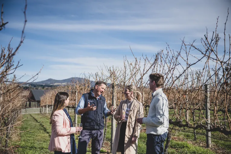 Vineyard Tour & 5 Course Lunch with Wine | Experience Oz