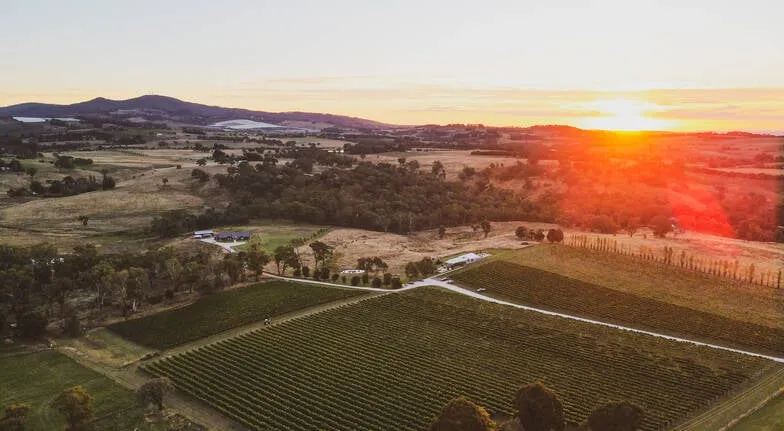 Private Winemaker Tour & 5 Course Lunch - 4 Hours | Experience Oz