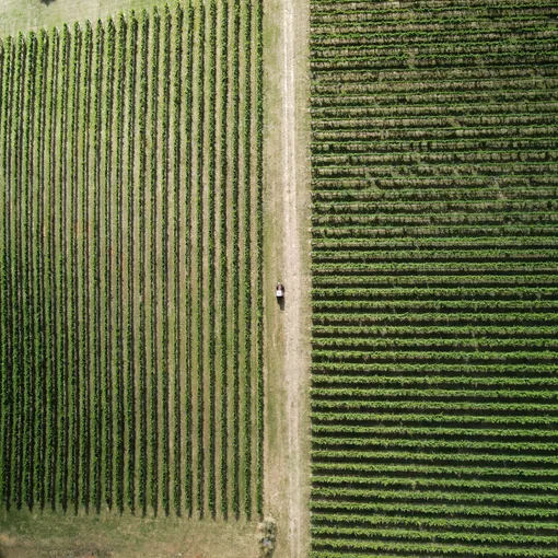Private Winemaker Tour & 5 Course Lunch - 4 Hours | Experience Oz