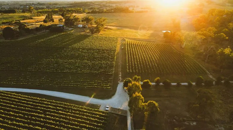 Private Winemaker Tour & 5 Course Lunch - 4 Hours | Experience Oz