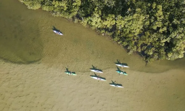 Noosa River Guided Kayak Tour - 2 Hours