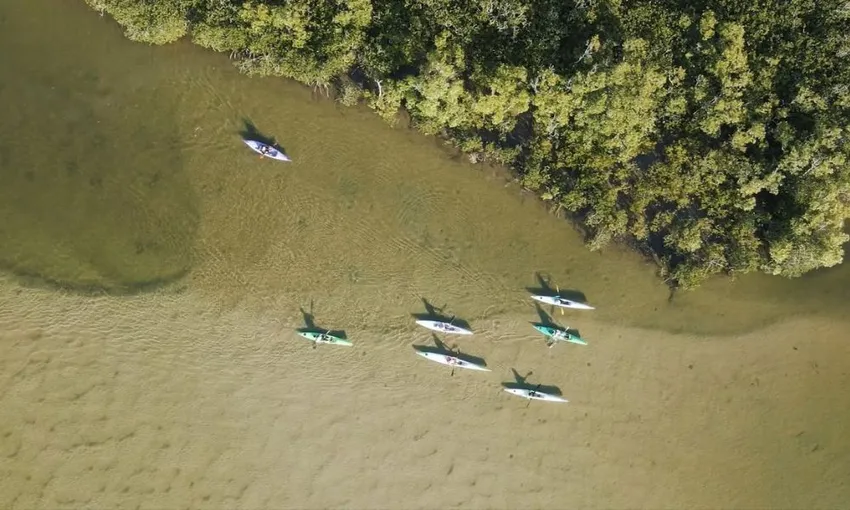 Noosa River Guided Kayak Tour - 2 Hours | Experience Oz