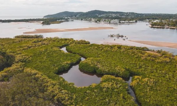 Noosa River Guided Kayak Tour - 2 Hours
