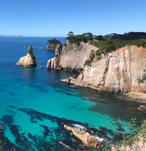 Coromandel Cathedral Cove Kayak Tour | Everything New Zealand