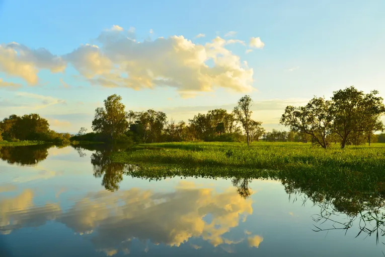 Kakadu and Mary River Scenic Flight, 2.5 Hours – From Darwin