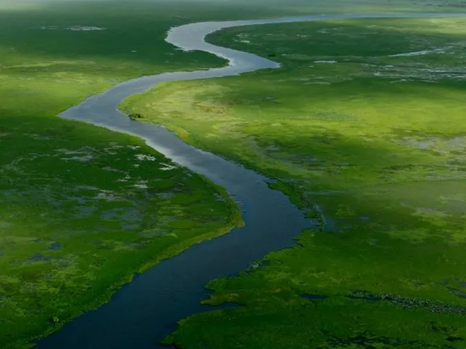 Kakadu and Mary River Scenic Flight, 2.5 Hours – From Darwin