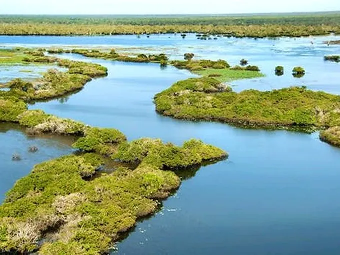 Kakadu and Mary River Scenic Flight, 2.5 Hours – From Darwin