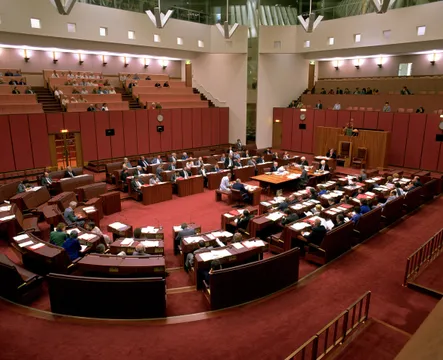 Canberra Small-Group Day Tour from Sydney - Full Day