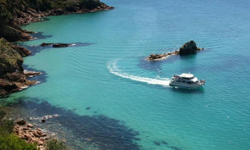Cape Woolamai Scenic Cruise - 60 Minutes - Book Now | Experience Oz