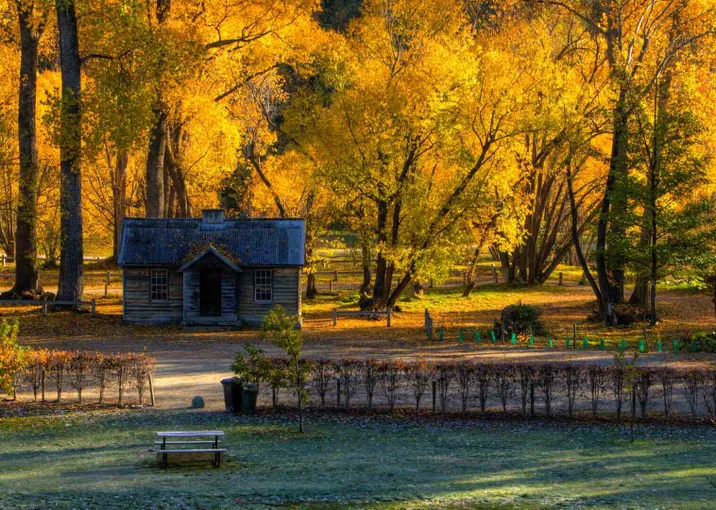 Queenstown Hill and Gibbston Valley Tour | Experience Oz