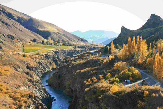 Queenstown Ziplining and Wine Tour - Full Day