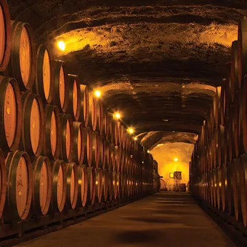 Queenstown Zipline and Gibbston Wine Tour - Full Day