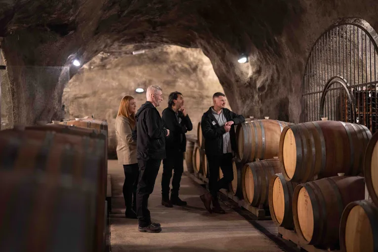 Queenstown Zipline and Wine Tour | Everything New Zealand