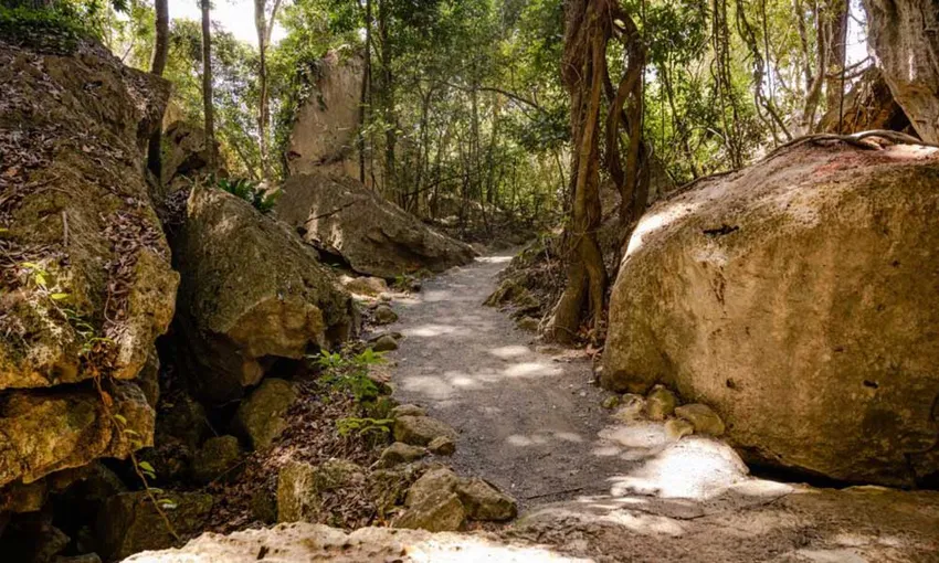 Capricorn Caves Cathedral Cave Tour - Book Now | Experience Oz