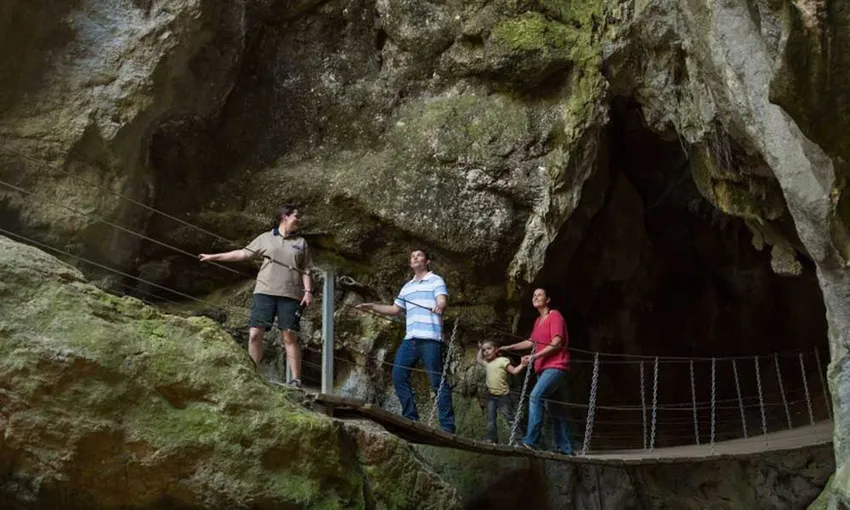 Capricorn Caves Cathedral Cave Tour - Book Now | Experience Oz