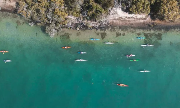 Guided Kayak Tour, 2 Hours – Noosa River