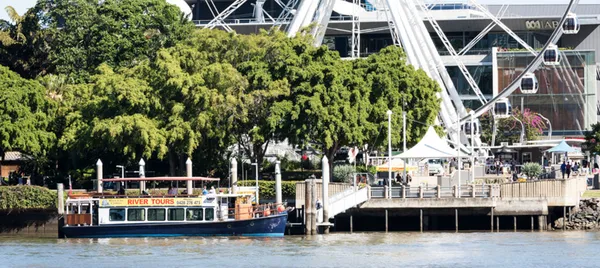 Midday Sightseeing Cruise, 90 Minutes – Brisbane River