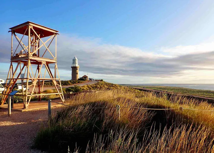 Exmouth Ningaloo Range to Reef Safari with Lunch | Experience Oz