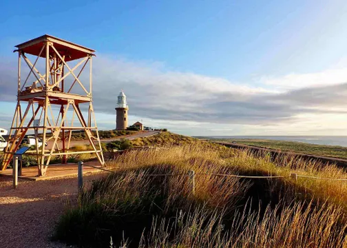 Ningaloo Range to Reef Safari, Full Day with Lunch – Exmouth