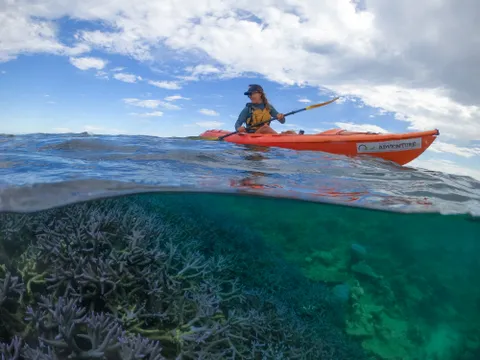 Exmouth Ningaloo Kayak & Snorkel Tour - Half Day