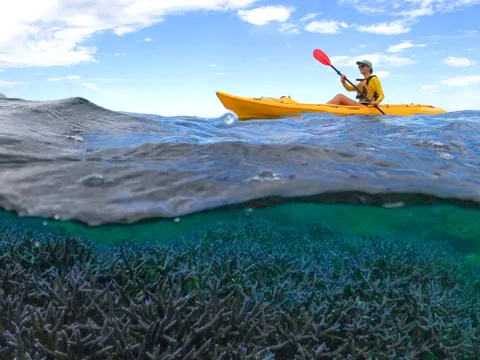 Ningaloo Reef Kayak & Snorkel Tour, Half Day – Exmouth