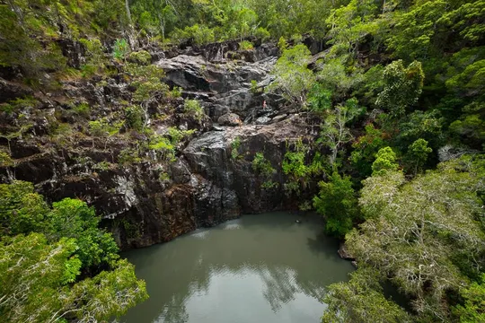 Cedar Creek Falls Eco Tour and Swim, 3 Hours - Airlie Beach