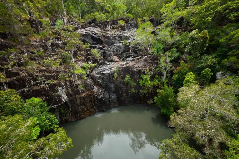 Cedar Creek Falls Eco Tour and Swim, 3 Hours - Airlie Beach