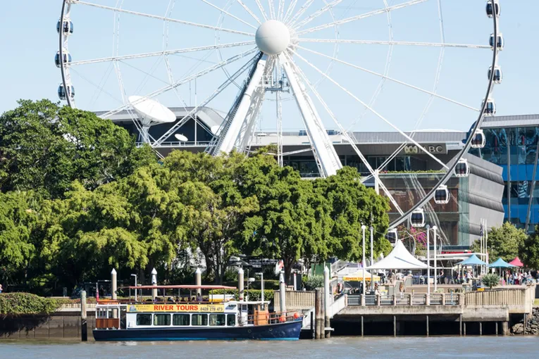 Scenic River Cruise with Morning Tea, 2 Hours - Brisbane