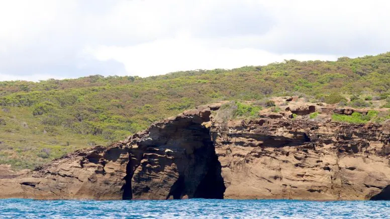 Wildlife & Sea Cave Boat Tour, 75 Minutes – Lake Macquarie