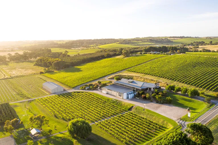 McLaren Vale Mead Tasting Flight - 45 Minutes | Experience Oz