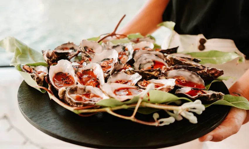 Bushtucker Cruise, 2 Hours - Mooloolaba