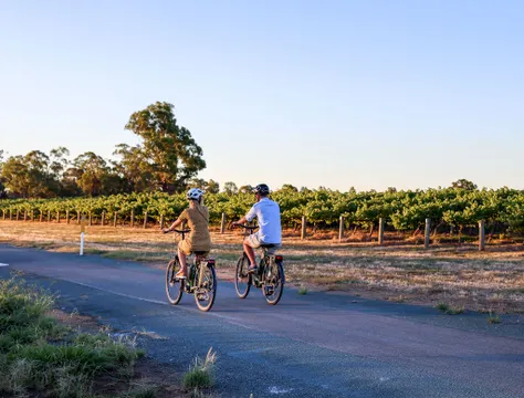 Echuca Moama E-Bike and Wine Tour - 3 Hours