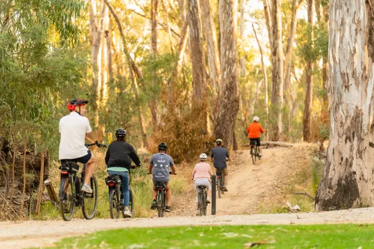Echuca Moama E-Bike and Wine Tour - 3 Hours