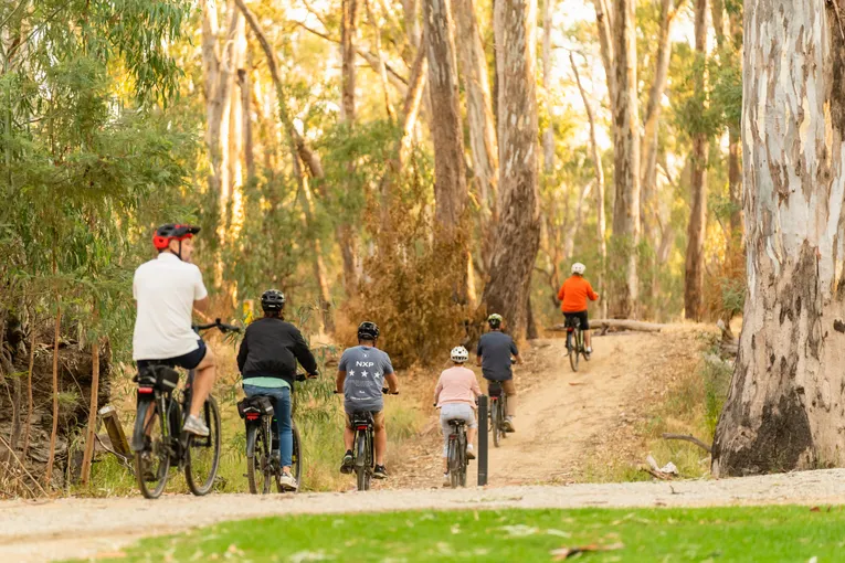 Echuca Moama E-Bike and Wine Tour - 3 Hours | Experience Oz