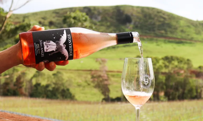 Waiheke Island Wine Tour & Beachfront Lunch | Experience Oz + NZ