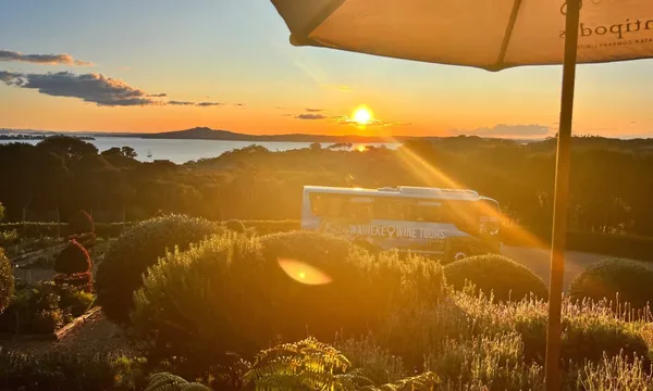 Waiheke Island Wine Tour with Beachfront Lunch - 5 Hours