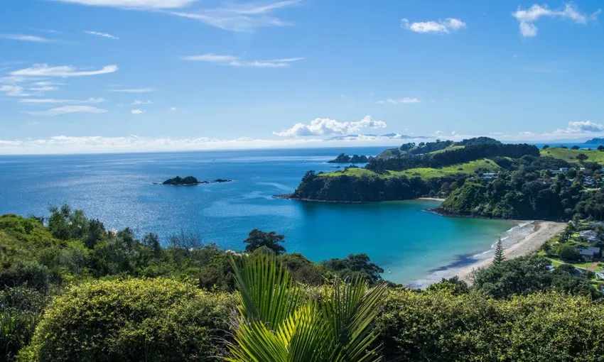 Waiheke Island Wine Tasting Tour | Everything New Zealand