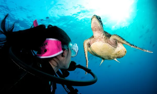 Liveaboard Dive Trip, 3 Days 2 Nights - Great Barrier Reef